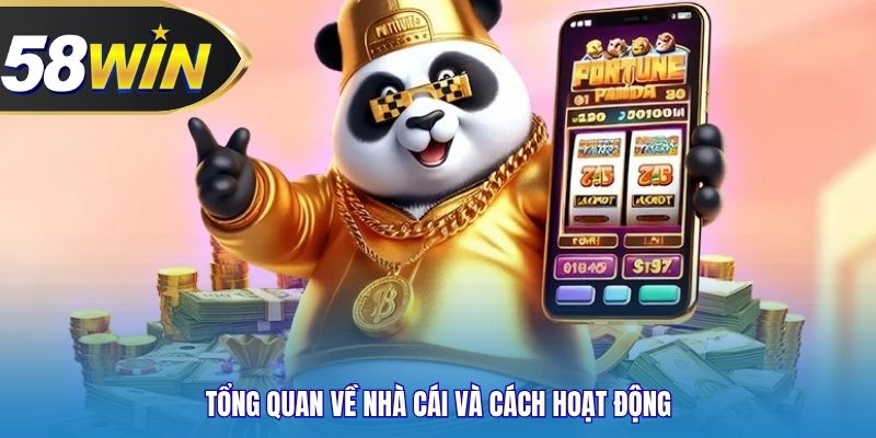 Tổng quan về nhà cái và cách hoạt động